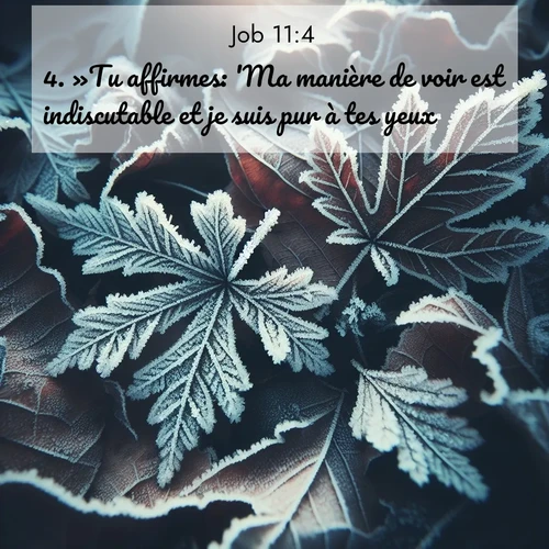 Segond21 Job  ; image nature: image avec le verset biblique :»Tu affirmes: &#039;Ma manière de voir est indiscutable et je suis pur à tes yeux.&#039; ;  ; 11:4