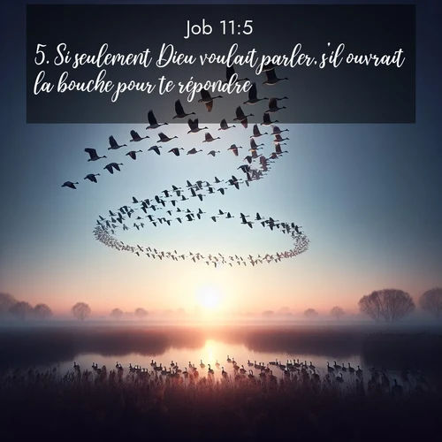 Segond21 Job  ; image nature: image avec le verset biblique :Si seulement Dieu voulait parler, s&#039;il ouvrait la bouche pour te répondre ;  ; 11:5