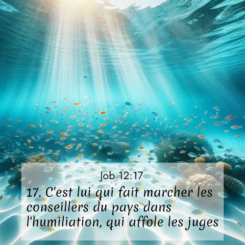 Segond21 Job  ; image nature: image avec le verset biblique :C&#039;est lui qui fait marcher les conseillers du pays dans l&#039;humiliation, qui affole les juges. ;  ; 12:17
