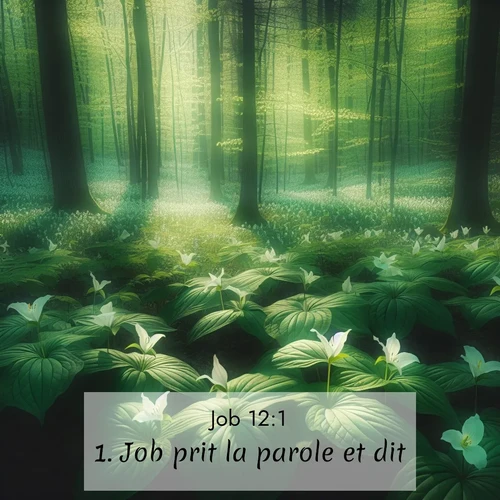 Segond21 Job  ; image nature: image avec le verset biblique :Job prit la parole et dit: ;  ; 12:1