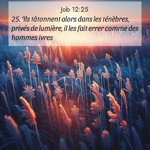 Segond21 Job  ; image nature: image avec le verset biblique :Ils tâtonnent alors dans les ténèbres, privés de lumière, il les fait errer comme des hommes ivres. ;  ; 12:25