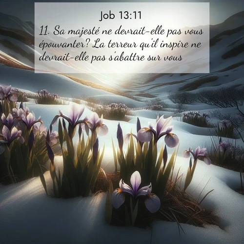 Segond21 Job  ; image nature: image avec le verset biblique :Sa majesté ne devrait-elle pas vous épouvanter? La terreur qu&#039;il inspire ne devrait-elle pas s&#039;abattre sur vous? ;  ; 13:11