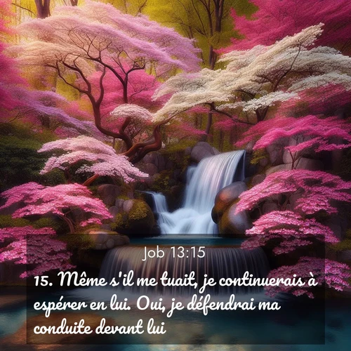 Segond21 Job  ; image nature: image avec le verset biblique :Même s&#039;il me tuait, je continuerais à espérer en lui. Oui, je défendrai ma conduite devant lui. ;  ; 13:15