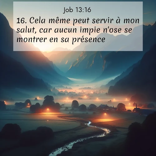 Segond21 Job  ; image nature: image avec le verset biblique :Cela même peut servir à mon salut, car aucun impie n&#039;ose se montrer en sa présence. ;  ; 13:16
