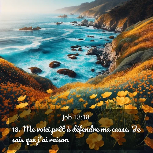 Segond21 Job  ; image nature: image avec le verset biblique :Me voici prêt à défendre ma cause. Je sais que j&#039;ai raison. ;  ; 13:18