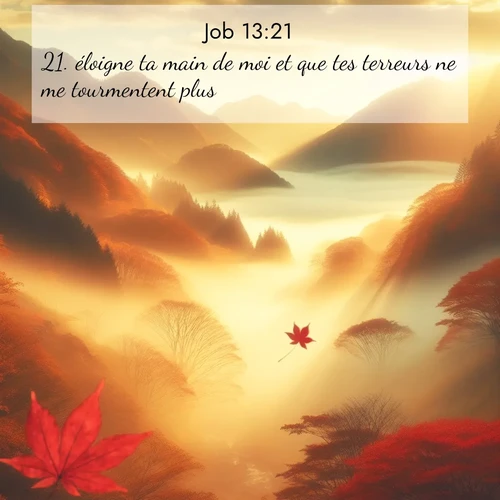 Segond21 Job  ; image nature: image avec le verset biblique :éloigne ta main de moi et que tes terreurs ne me tourmentent plus! ;  ; 13:21