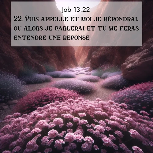 Segond21 Job  ; image nature: image avec le verset biblique :Puis appelle et moi je répondrai, ou alors je parlerai et tu me feras entendre une réponse. ;  ; 13:22