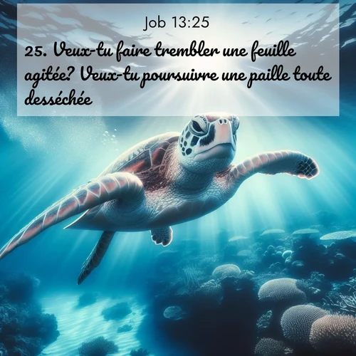 Segond21 Job  ; image nature: image avec le verset biblique :Veux-tu faire trembler une feuille agitée? Veux-tu poursuivre une paille toute desséchée? ;  ; 13:25