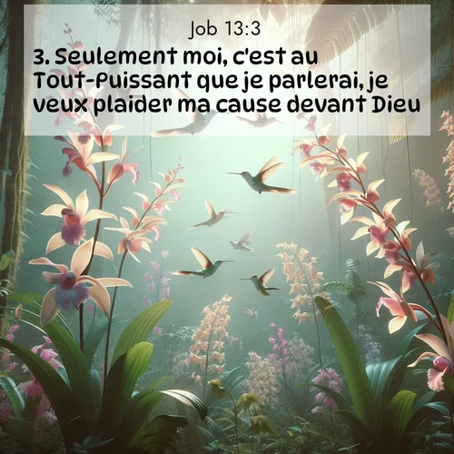 Segond21 Job  ; image nature: image avec le verset biblique :Seulement moi, c&#039;est au Tout-Puissant que je parlerai, je veux plaider ma cause devant Dieu. ;  ; 13:3
