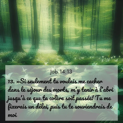 Segond21 Job  ; image nature: image avec le verset biblique :»Si seulement tu voulais me cacher dans le séjour des morts, m&#039;y tenir à l&#039;abri jusqu&#039;à ce que ta colère soit passée! Tu me fixerais un délai, puis tu te souviendrais de moi. ;  ; 14:13