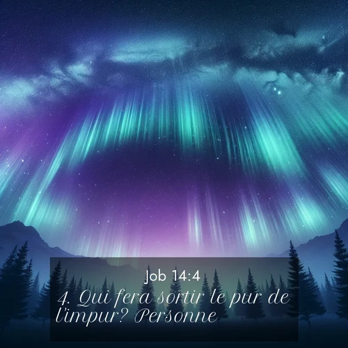 Segond21 Job  ; image nature: image avec le verset biblique :Qui fera sortir le pur de l&#039;impur? Personne. ;  ; 14:4