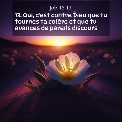 Segond21 Job  ; image nature: image avec le verset biblique :Oui, c&#039;est contre Dieu que tu tournes ta colère et que tu avances de pareils discours! ;  ; 15:13
