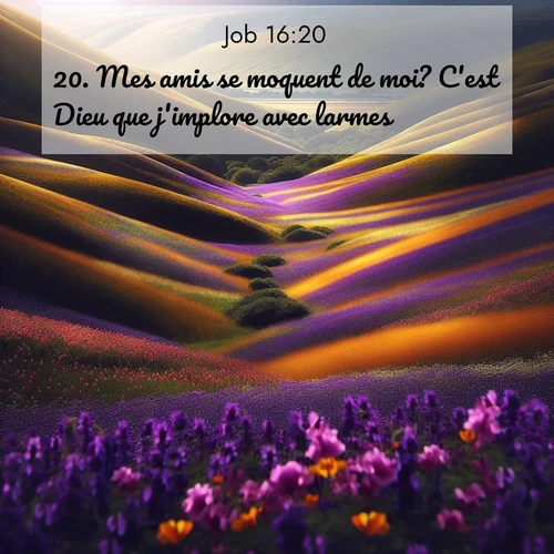 image nature avec verset biblique de la Bible