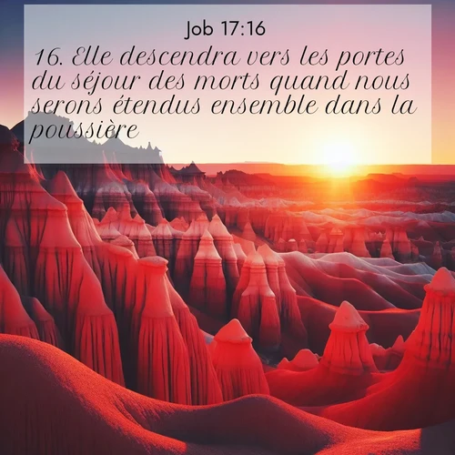 Segond21 Job  ; image nature: image avec le verset biblique :Elle descendra vers les portes du séjour des morts quand nous serons étendus ensemble dans la poussière.» ;  ; 17:16