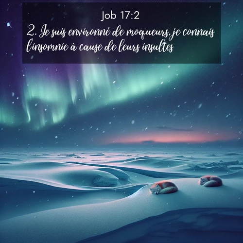 Segond21 Job  ; image nature: image avec le verset biblique :Je suis environné de moqueurs, je connais l&#039;insomnie à cause de leurs insultes. ;  ; 17:2