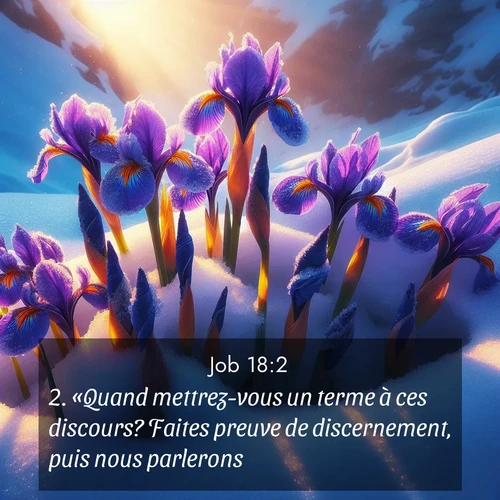 Segond21 Job  ; image nature: image avec le verset biblique :«Quand mettrez-vous un terme à ces discours? Faites preuve de discernement, puis nous parlerons. ;  ; 18:2