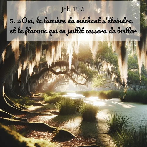 Segond21 Job  ; image nature: image avec le verset biblique :»Oui, la lumière du méchant s&#039;éteindra et la flamme qui en jaillit cessera de briller. ;  ; 18:5