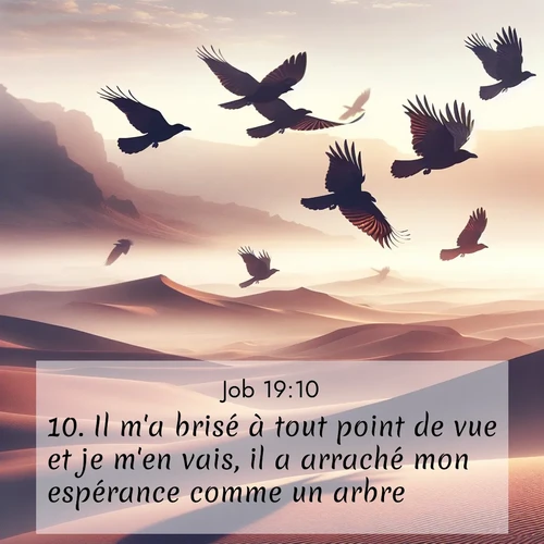 Segond21 Job  ; image nature: image avec le verset biblique :Il m&#039;a brisé à tout point de vue et je m&#039;en vais, il a arraché mon espérance comme un arbre. ;  ; 19:10