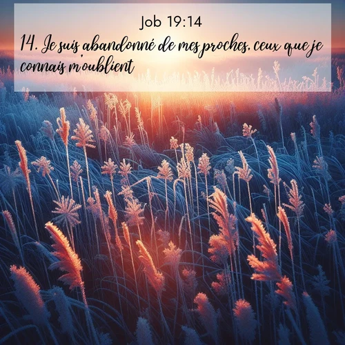 Segond21 Job  ; image nature: image avec le verset biblique :Je suis abandonné de mes proches, ceux que je connais m&#039;oublient. ;  ; 19:14