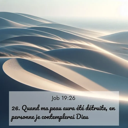 Segond21 Job  ; image nature: image avec le verset biblique :Quand ma peau aura été détruite, en personne je contemplerai Dieu. ;  ; 19:26
