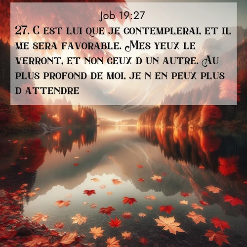 Segond21 Job  ; image nature: image avec le verset biblique :C&#039;est lui que je contemplerai, et il me sera favorable. Mes yeux le verront, et non ceux d&#039;un autre. Au plus profond de moi, je n&#039;en peux plus d&#039;attendre. ;  ; 19:27