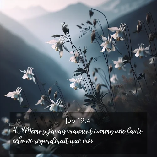 Segond21 Job  ; image nature: image avec le verset biblique :»Même si j&#039;avais vraiment commis une faute, cela ne regarderait que moi. ;  ; 19:4