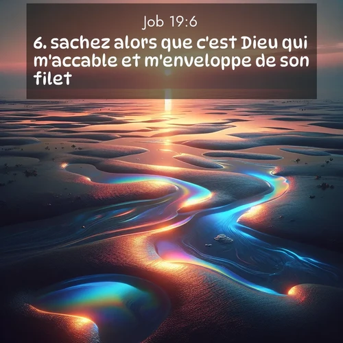 Segond21 Job  ; image nature: image avec le verset biblique :sachez alors que c&#039;est Dieu qui m&#039;accable et m&#039;enveloppe de son filet. ;  ; 19:6