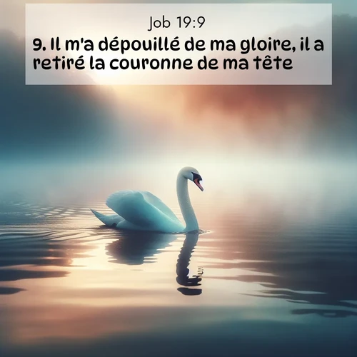 Segond21 Job  ; image nature: image avec le verset biblique :Il m&#039;a dépouillé de ma gloire, il a retiré la couronne de ma tête. ;  ; 19:9