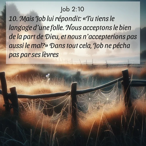 Segond21 Job  ; image nature: image avec le verset biblique :Mais Job lui répondit: «Tu tiens le langage d&#039;une folle. Nous acceptons le bien de la part de Dieu, et nous n&#039;accepterions pas aussi le mal?» Dans tout cela, Job ne pécha pas par ses lèvres. ;  ; 2:10