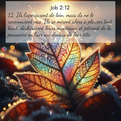 Segond21 Job  ; image nature: image avec le verset biblique :Ils l&#039;aperçurent de loin, mais ils ne le reconnurent pas. Ils se mirent alors à pleurer tout haut, déchirèrent leurs manteaux et jetèrent de la poussière en l&#039;air au-dessus de leur tête. ;  ; 2:12