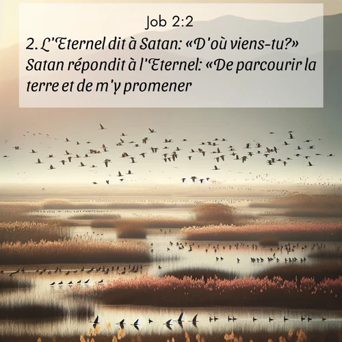 Segond21 Job  ; image nature: image avec le verset biblique :L&#039;Eternel dit à Satan: «D&#039;où viens-tu?» Satan répondit à l&#039;Eternel: «De parcourir la terre et de m&#039;y promener.» ;  ; 2:2