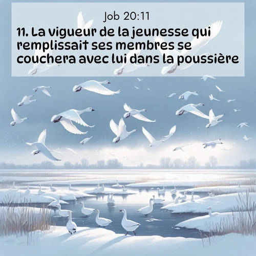 image nature avec verset biblique de la Bible