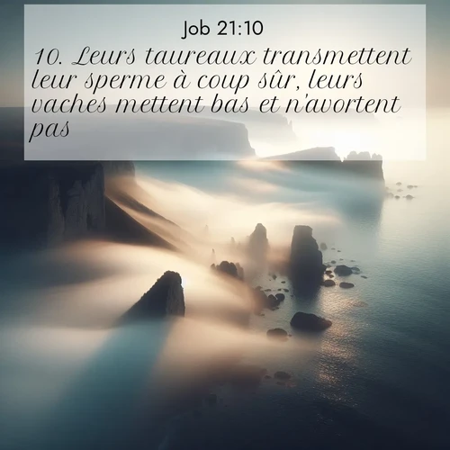 Segond21 Job  ; image nature: image avec le verset biblique :Leurs taureaux transmettent leur sperme à coup sûr, leurs vaches mettent bas et n&#039;avortent pas. ;  ; 21:10