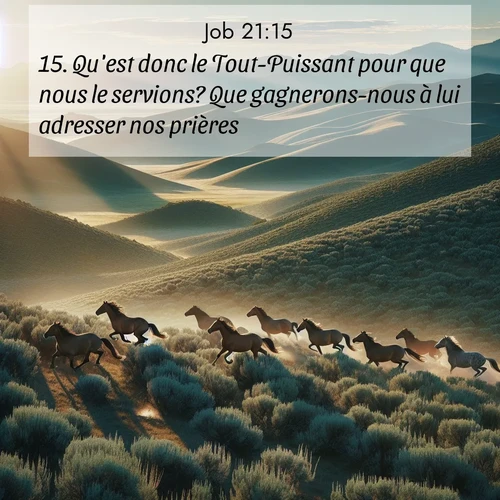 Segond21 Job  ; image nature: image avec le verset biblique :Qu&#039;est donc le Tout-Puissant pour que nous le servions? Que gagnerons-nous à lui adresser nos prières?&#039; ;  ; 21:15