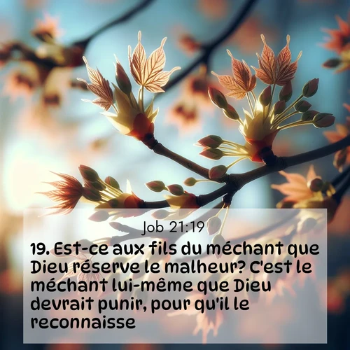 Segond21 Job  ; image nature: image avec le verset biblique :Est-ce aux fils du méchant que Dieu réserve le malheur? C&#039;est le méchant lui-même que Dieu devrait punir, pour qu&#039;il le reconnaisse, ;  ; 21:19