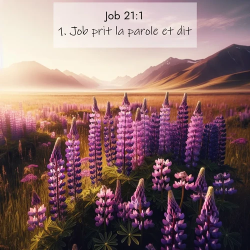 Segond21 Job  ; image nature: image avec le verset biblique :Job prit la parole et dit: ;  ; 21:1