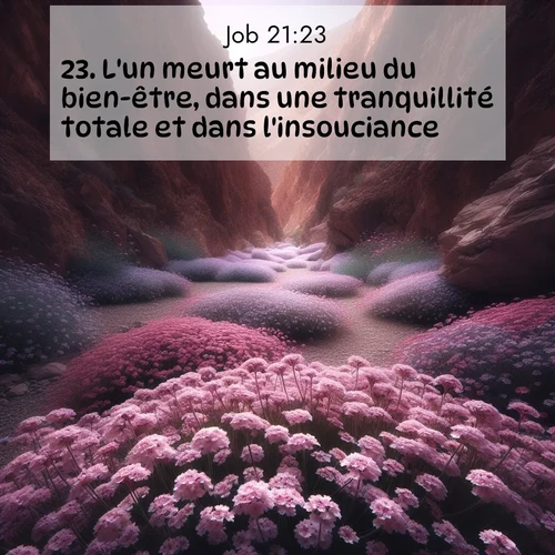 Segond21 Job  ; image nature: image avec le verset biblique :L&#039;un meurt au milieu du bien-être, dans une tranquillité totale et dans l&#039;insouciance, ;  ; 21:23