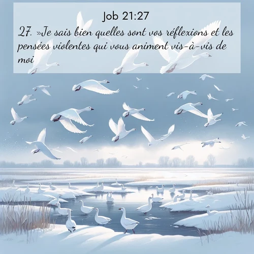 Segond21 Job  ; image nature: image avec le verset biblique :»Je sais bien quelles sont vos réflexions et les pensées violentes qui vous animent vis-à-vis de moi. ;  ; 21:27
