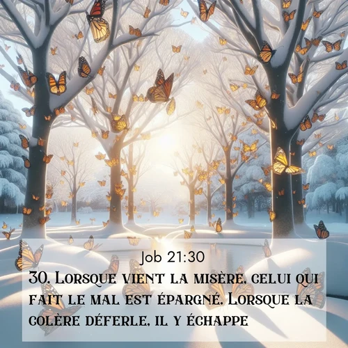 Segond21 Job  ; image nature: image avec le verset biblique :Lorsque vient la misère, celui qui fait le mal est épargné. Lorsque la colère déferle, il y échappe. ;  ; 21:30