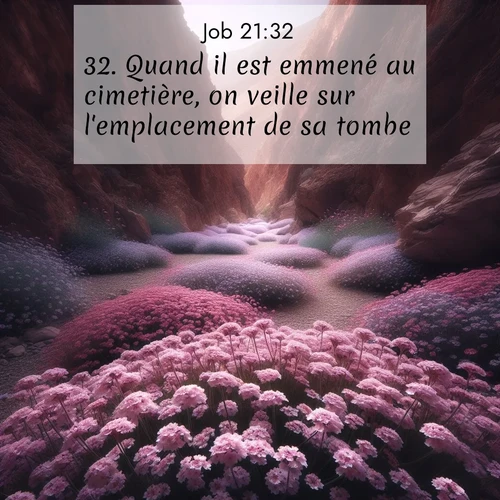 Segond21 Job  ; image nature: image avec le verset biblique :Quand il est emmené au cimetière, on veille sur l&#039;emplacement de sa tombe. ;  ; 21:32
