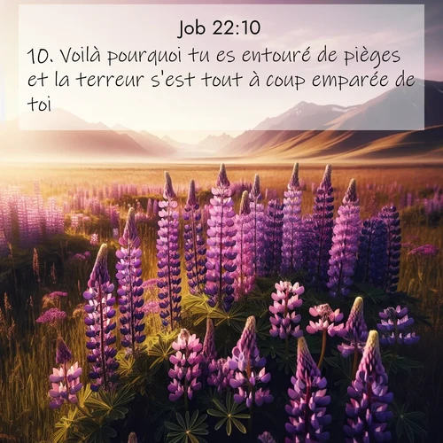 Segond21 Job  ; image nature: image avec le verset biblique :Voilà pourquoi tu es entouré de pièges et la terreur s&#039;est tout à coup emparée de toi. ;  ; 22:10