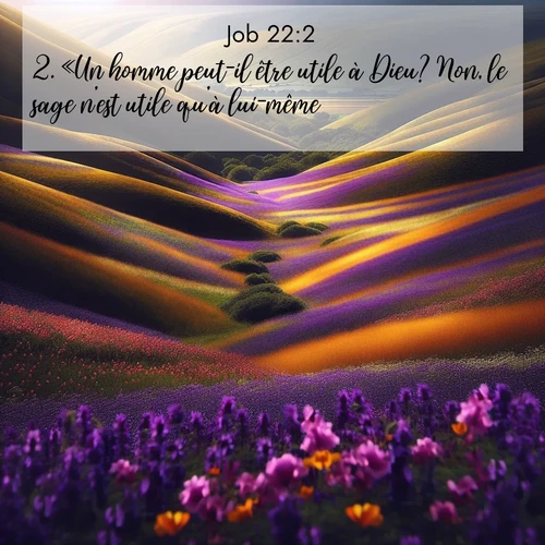 Segond21 Job  ; image nature: image avec le verset biblique :«Un homme peut-il être utile à Dieu? Non, le sage n&#039;est utile qu&#039;à lui-même. ;  ; 22:2