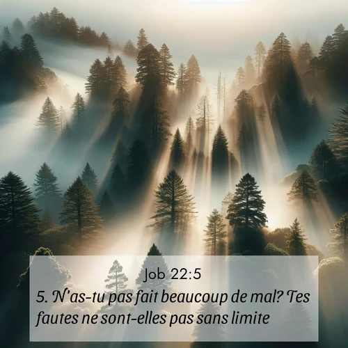 Segond21 Job  ; image nature: image avec le verset biblique :N&#039;as-tu pas fait beaucoup de mal? Tes fautes ne sont-elles pas sans limite? ;  ; 22:5