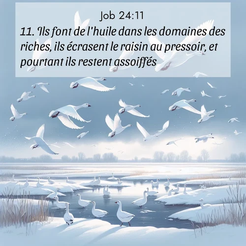 image nature avec verset biblique de la Bible