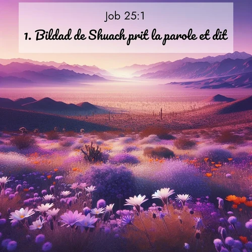Segond21 Job  ; image nature: image avec le verset biblique :Bildad de Shuach prit la parole et dit: ;  ; 25:1