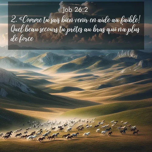 Segond21 Job  ; image nature: image avec le verset biblique :«Comme tu sais bien venir en aide au faible! Quel beau secours tu prêtes au bras qui n&#039;a plus de force! ;  ; 26:2