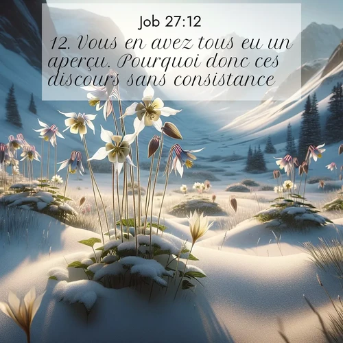 Segond21 Job  ; image nature: image avec le verset biblique :Vous en avez tous eu un aperçu. Pourquoi donc ces discours sans consistance? ;  ; 27:12