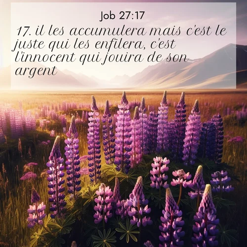 Segond21 Job  ; image nature: image avec le verset biblique :il les accumulera mais c&#039;est le juste qui les enfilera, c&#039;est l&#039;innocent qui jouira de son argent. ;  ; 27:17