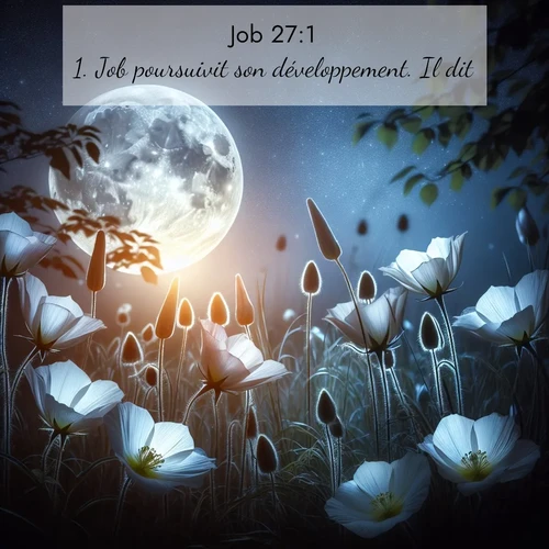 Segond21 Job  ; image nature: image avec le verset biblique :Job poursuivit son développement. Il dit: ;  ; 27:1