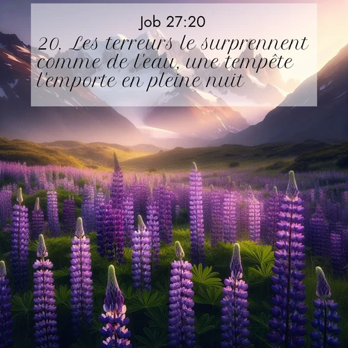 Segond21 Job  ; image nature: image avec le verset biblique :Les terreurs le surprennent comme de l&#039;eau, une tempête l&#039;emporte en pleine nuit; ;  ; 27:20